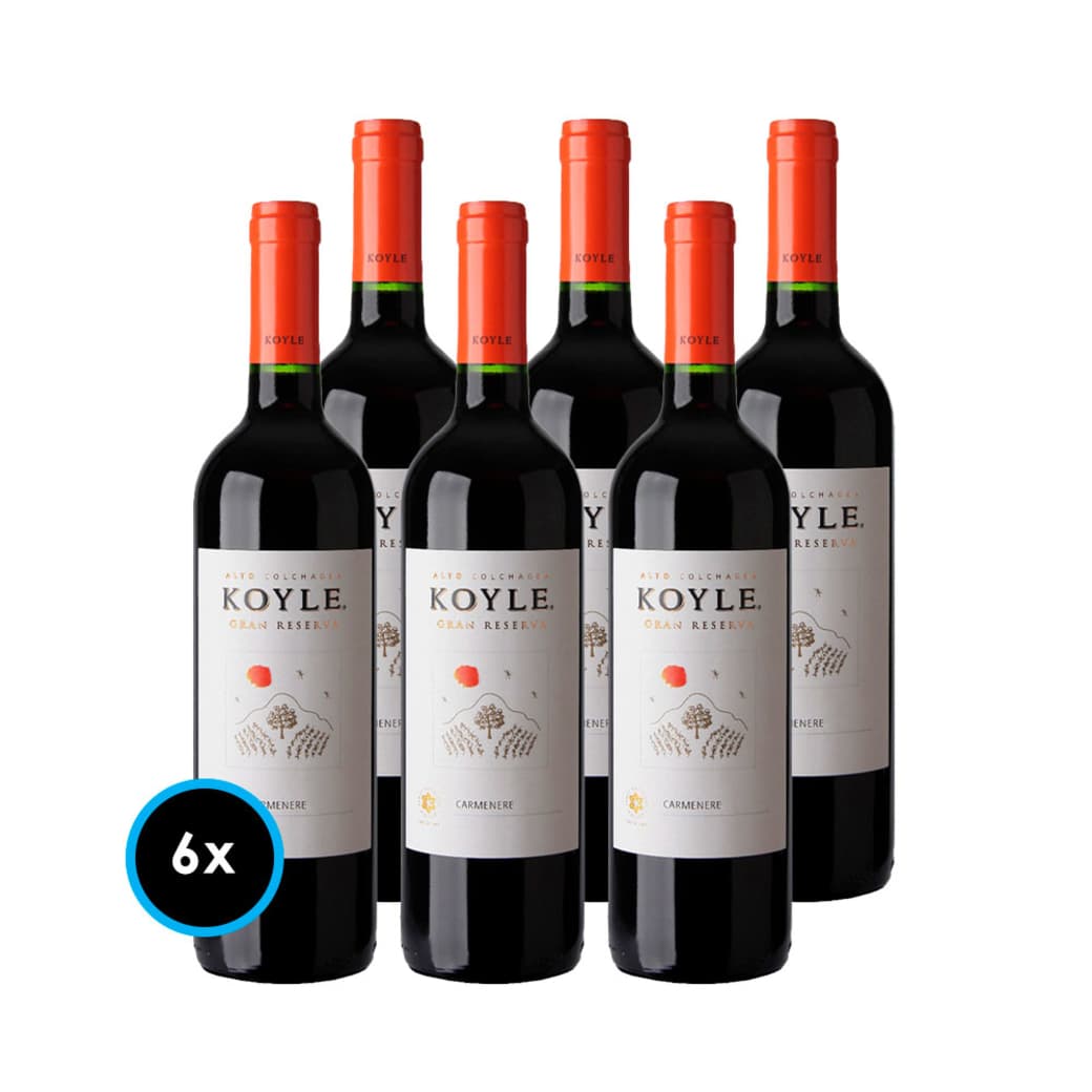 CAJA KOYLE GR (Carmenere): 6x Vinos Koyle Gran Reserva Carmenere 750cc_1