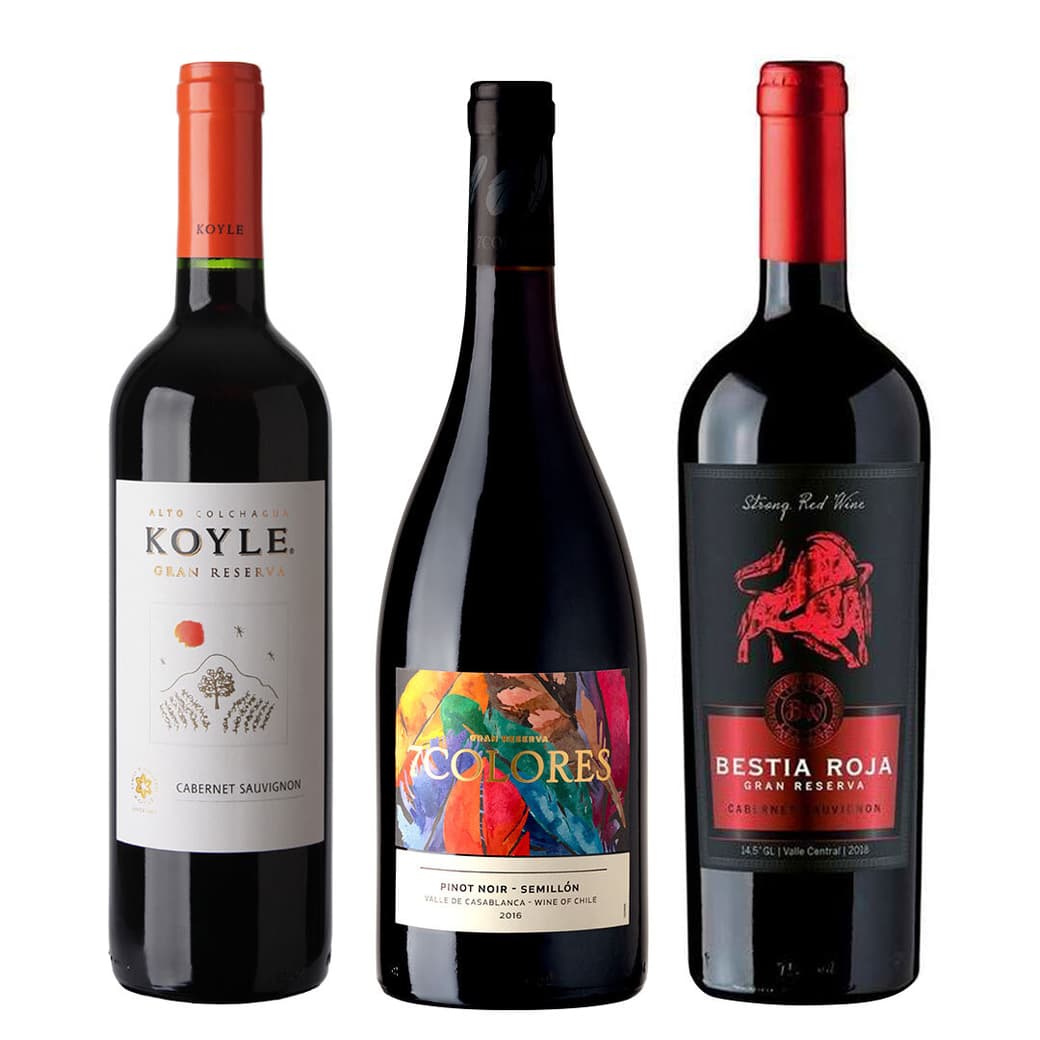 PACK GRAN RESERVA MIX: Vino 7 Colores GR Pinot Noir + Vino Koyle GR Cabernet Sauvignon + Vino Bestia Roja GR Carmenere_1