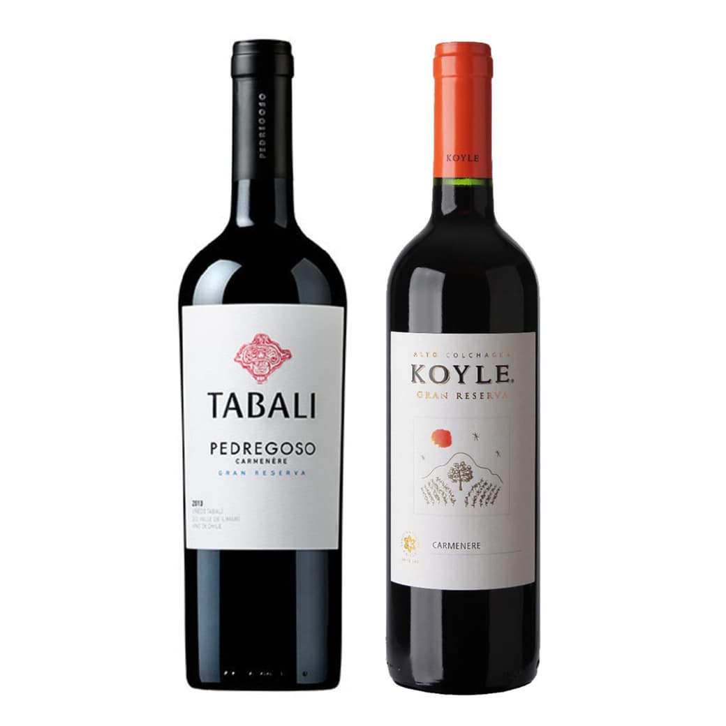 GRAN DUO TABALI - KOYLE: 1x Vino Tabali Pedregoso Gran Reserva Carmenere 750cc + 1x Vino Koyle Gran Reserva Carmenere 750cc_1