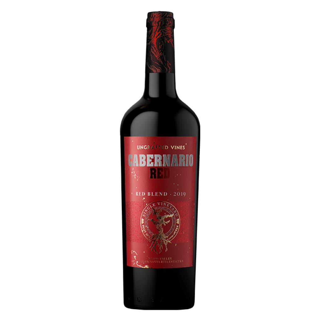 Vino Cabernario Red Blend 750cc_1