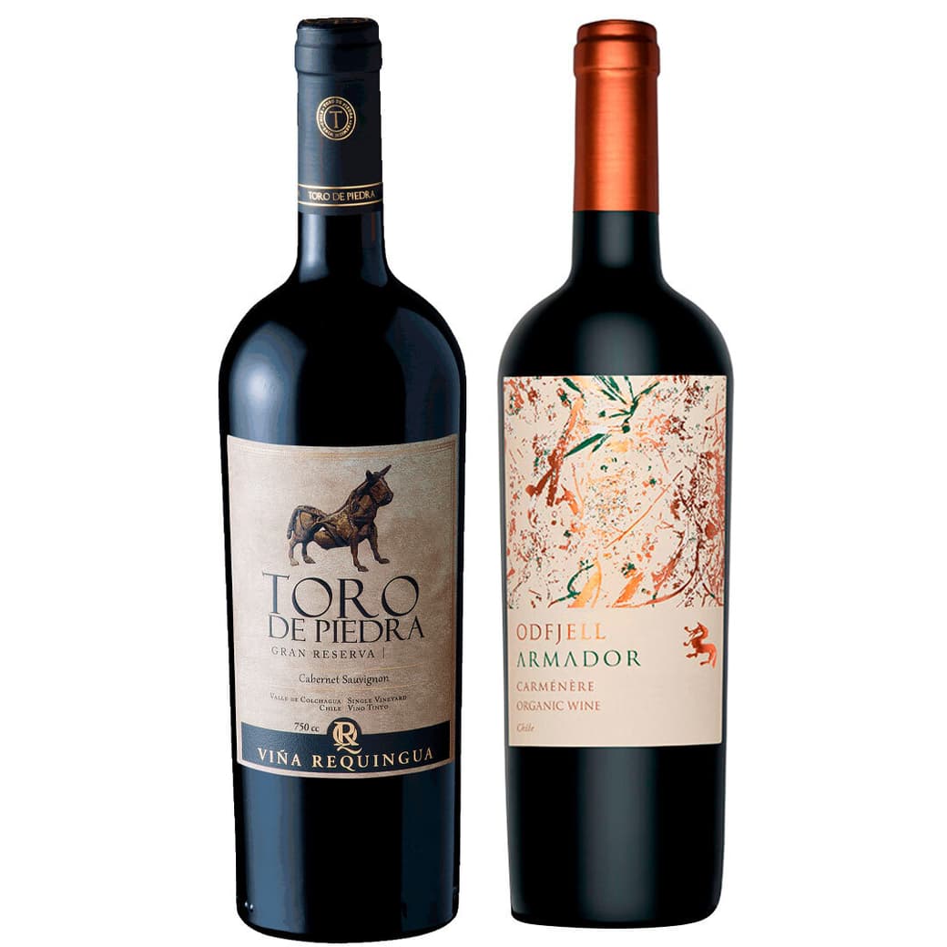 GRAN DUO TORO PIEDRA - ODFJELL ARMADOR:  1x Vino Odfjell Armador Carmenere 750cc + 1x Vino Toro de Piedra Cabernet Sauvignon 750cc_1