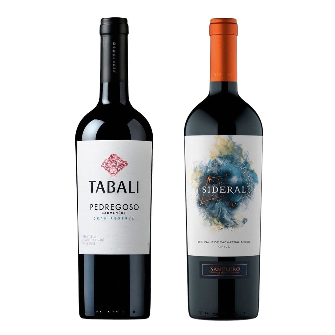 DUO TABALI - SIDERAL (Carmenere/Blend): 1x Vino Tabali Pedregoso Gran Reserva Carmenere 750cc + Vino Sideral Blend 750cc_1