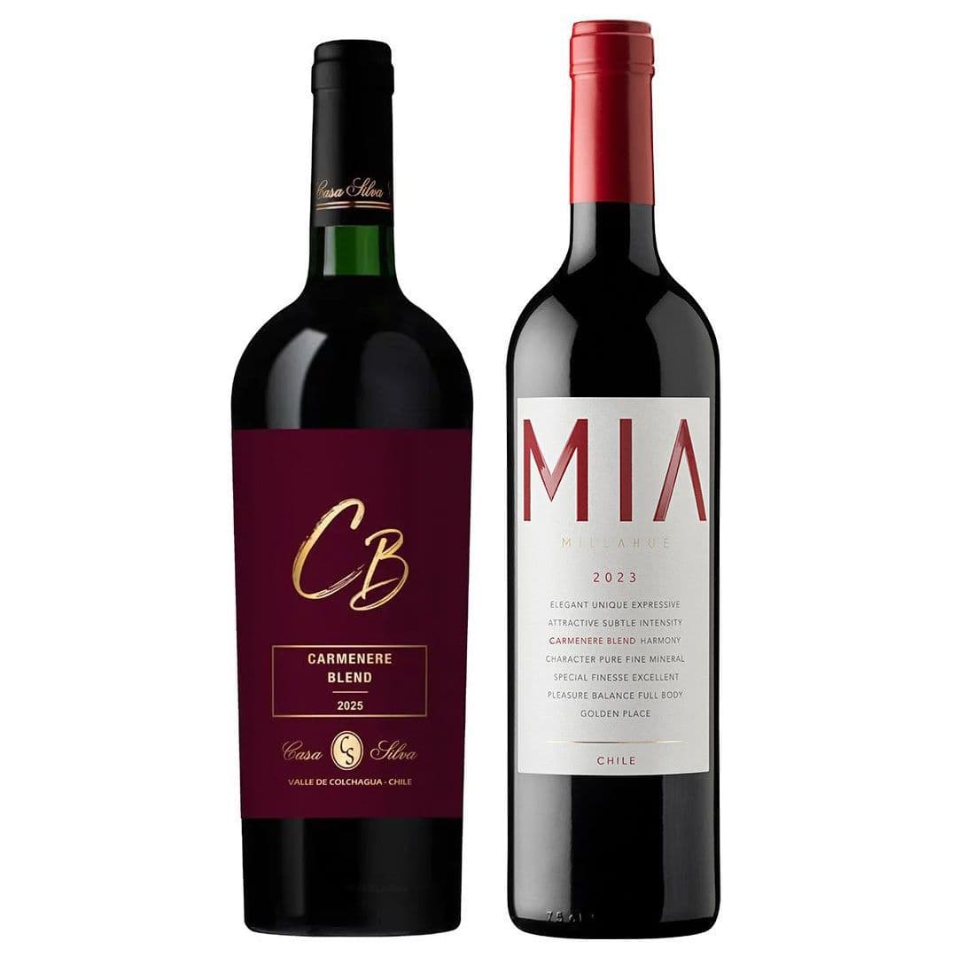 GRAN DÚO VIK - CASA SILVA: 1x Vino VIK MIA Carmenere Blend (2023) 750cc + 1x Vino Casa Silva CB Carmenere Blend 750cc_1