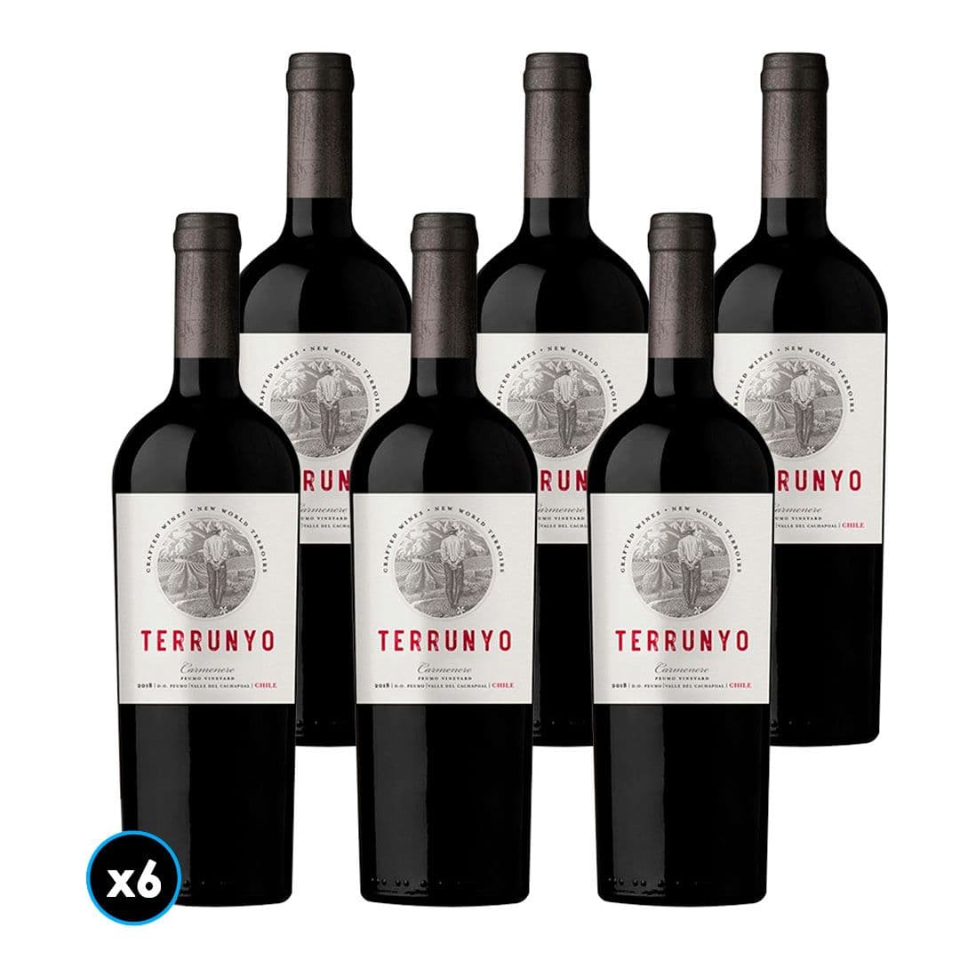 CAJA TERRUNYO (Carmenere): 6x Vino Terrunyo Carmenere 750cc_1