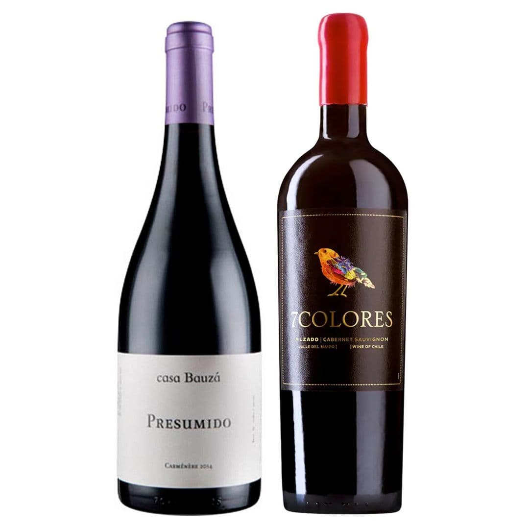 DUO PRESUMIDO - 7 COLORES: 1x Vino Casa Bauzá Presumido Carmenere 750cc + 1x Vino 7 Colores Icono Alzado Cabernet Sauvignon 750cc_1